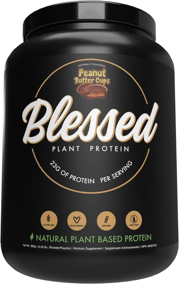 BLESSED Plant Based Protein Supplement Peanut Butter Cup - Leo Smart Traders