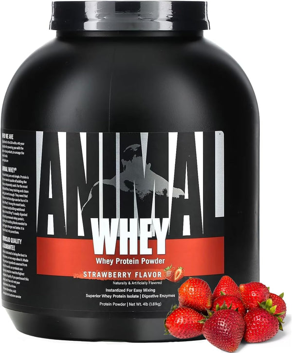 Animal Isolate Whey Protein Supplement Strawberry - Leo Smart Traders 