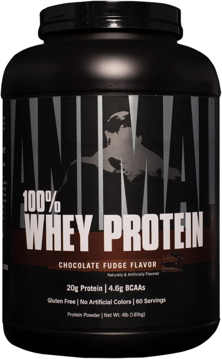 Animal 100% Whey Protein Supplement Chocolate Fudge - Leo Smart Traders